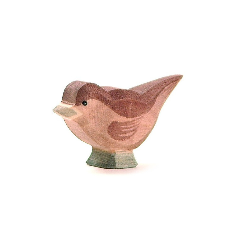 Ostheimer mus (16808)