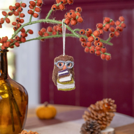 Sjaal met Verhaal indian summer hanger owl three books