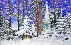 Adventskalender Small- Elisabeth Heuberger. Wunder im Wald