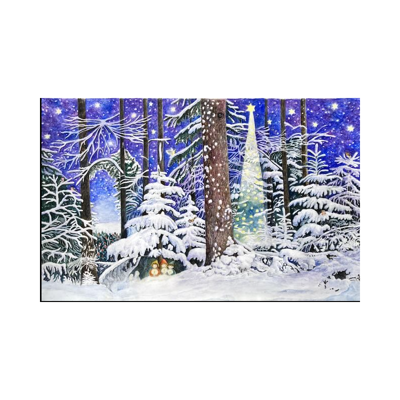 Adventskalender Small- Elisabeth Heuberger. Wunder im Wald