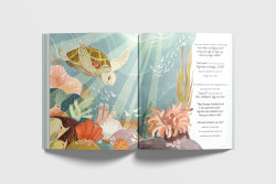 Een zee vol wonderen