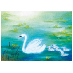 De Zwaan (Baukje Exler)