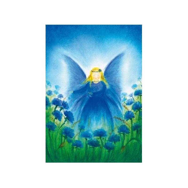 Het vlindervrouwtje (Baukje Exler)