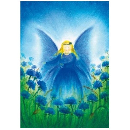 Het vlindervrouwtje (Baukje Exler)