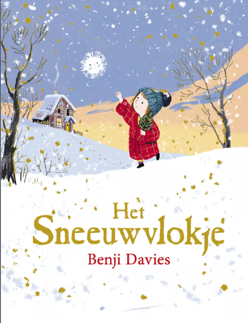 Het sneeuwvlokje B Davies KARTONBOEK