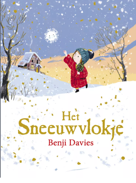 Het sneeuwvlokje B Davies KARTONBOEK