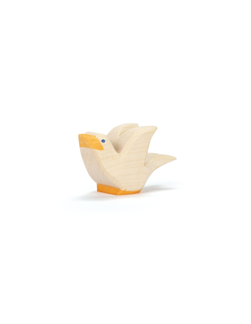 Ostheimer flying pigeon (1191)