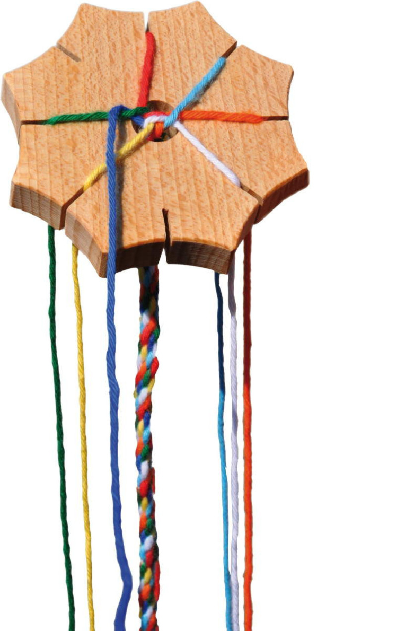 copy of Fagus punniksetje