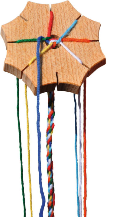 copy of Fagus punniksetje