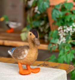 Sjaal met verhaal Wilde Eend staand