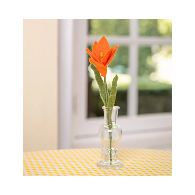 Sjaal met Verhaal krokus oranje