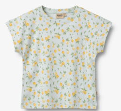 Wheat cotton shortsleevesummer blue citrus