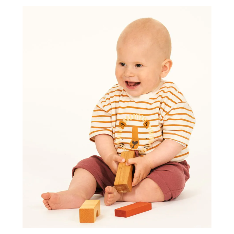 Sense Organics katoenen baby tshirt curry gestreept met leeuw