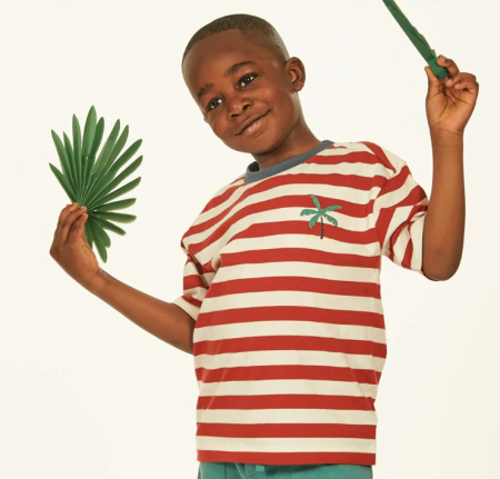 Sense Organics katoenen tshirt roest met palm