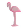 Ostheimer flamingo (20561)