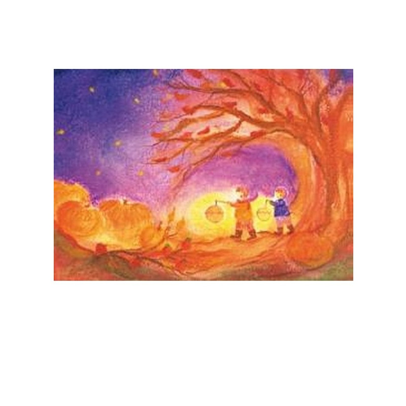 Postkaart lampionnenbos (Baukje Exler)