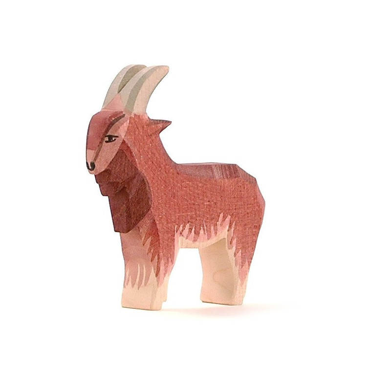 Ostheimer geit (11711)