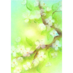 Blossom (Baukje Exler)