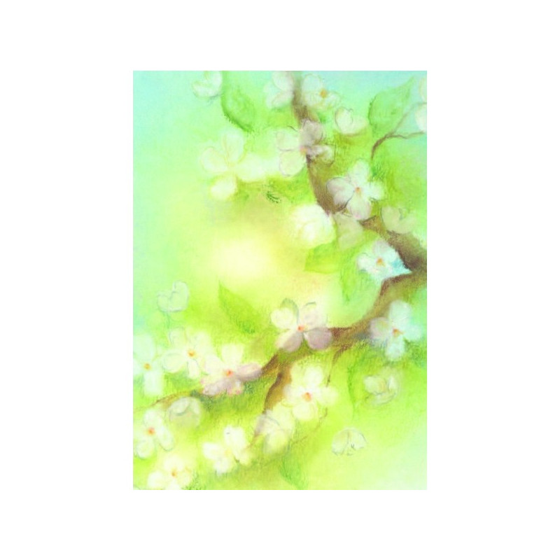 Blossom (Baukje Exler)