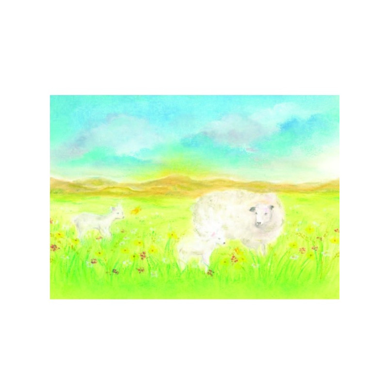 Postkaart Het schaap (Baukje Exler)