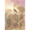 Postcard Robin on hydrangea (Baukje Exler)