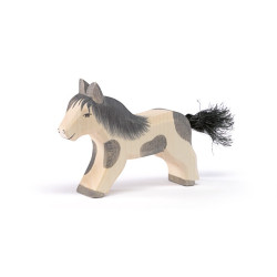 Ostheimer shetland pony walking (11304)