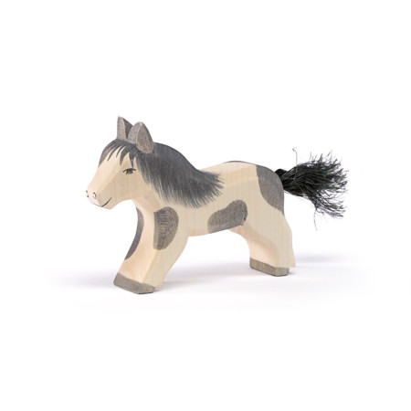 Ostheimer shetland pony walking (11304)