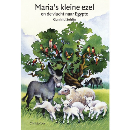 Maria's kleine ezel en de vlucht naar Egypte