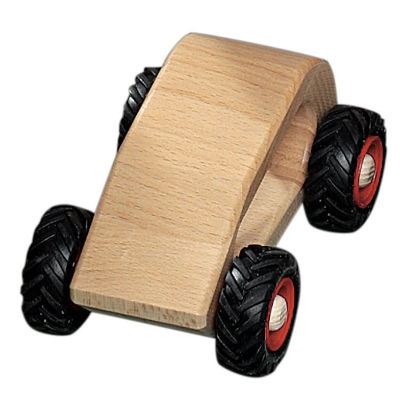 Fagus personenauto (11.02)