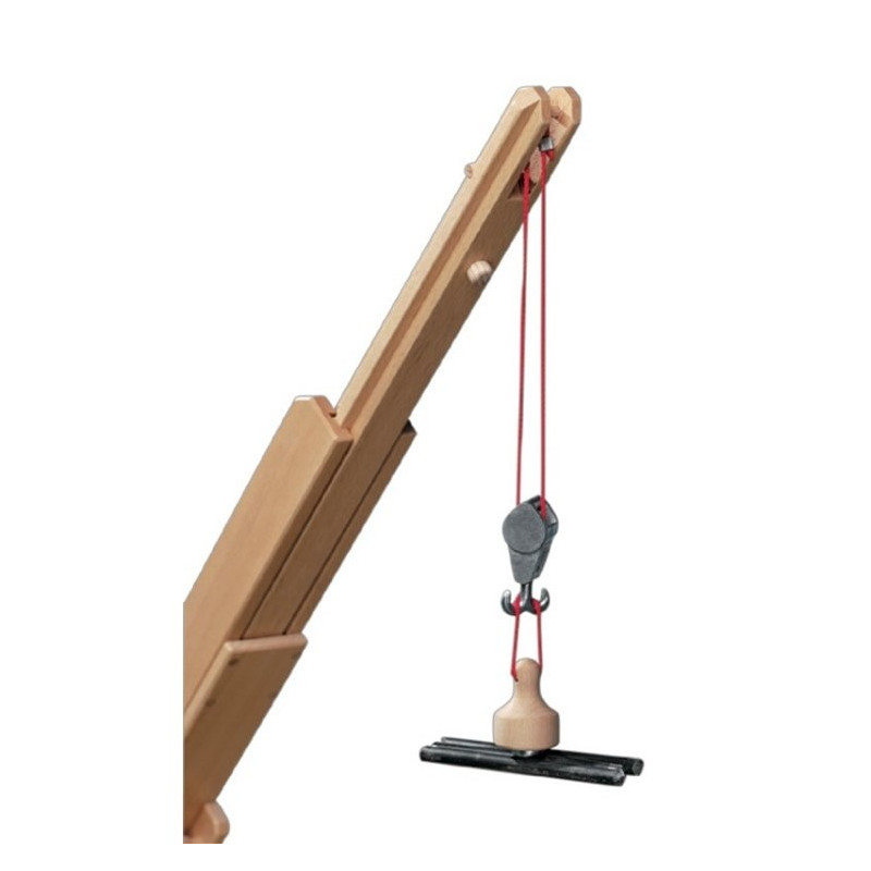 Fagus wooden magnet  (30.62)