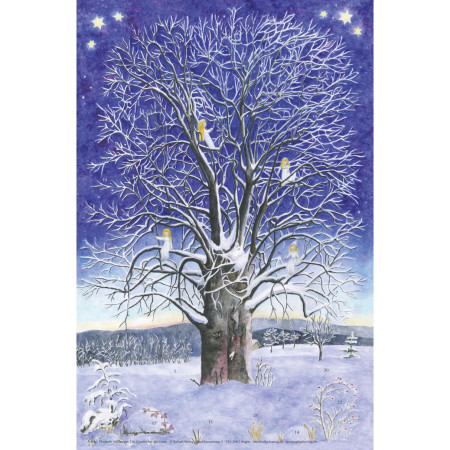 Advent calendar large die Geschichte der Linde (Elisabeth Heuberger)