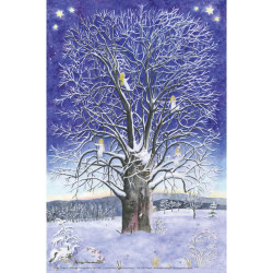 Advent calendar small die Geschichte der Linde (Elisabeth Heuberger)