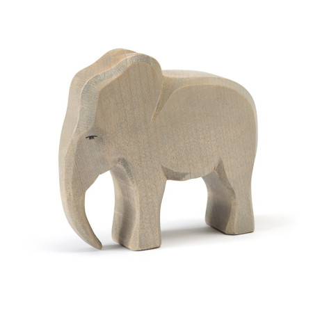 Ostheimer elephant bull (20420)