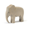 Ostheimer elephant bull (20420)