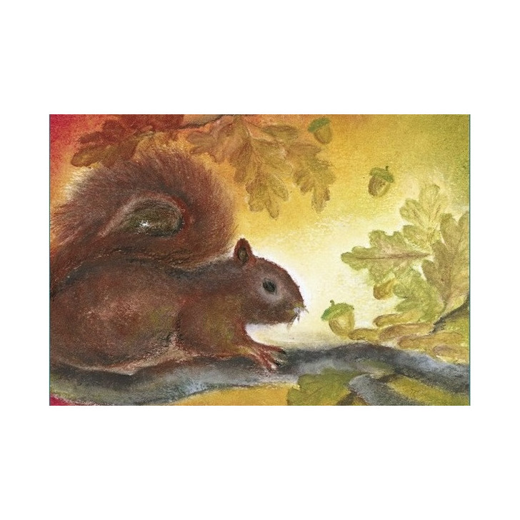 Kaarten Baukje Exler